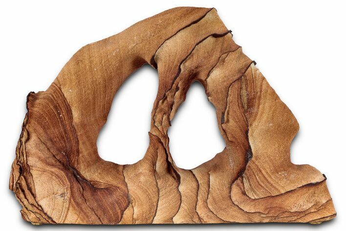 Wide Picture Sandstone Arch - Arizona #357190